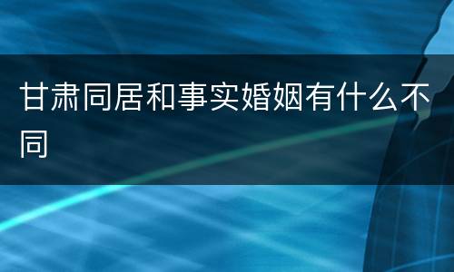 甘肃同居和事实婚姻有什么不同