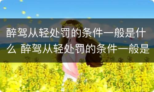醉驾从轻处罚的条件一般是什么 醉驾从轻处罚的条件一般是什么标准
