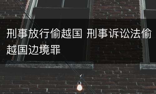 刑事放行偷越国 刑事诉讼法偷越国边境罪