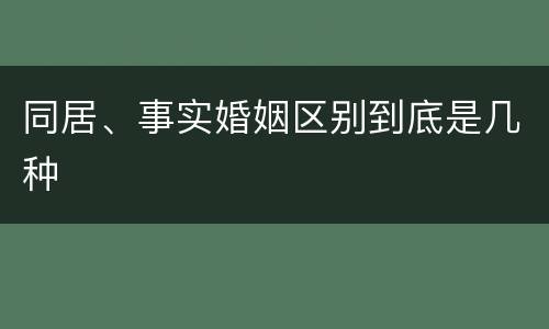同居、事实婚姻区别到底是几种