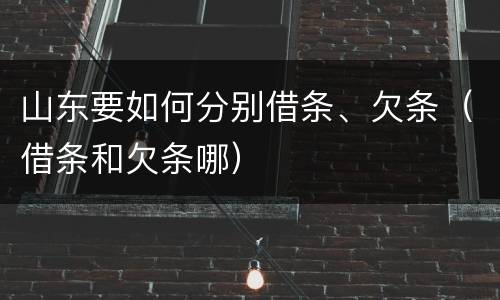 山东要如何分别借条、欠条（借条和欠条哪）