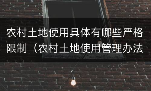 农村土地使用具体有哪些严格限制（农村土地使用管理办法）