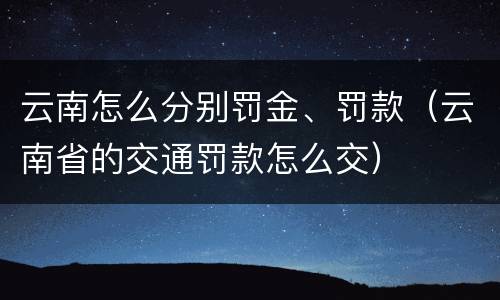 云南怎么分别罚金、罚款（云南省的交通罚款怎么交）