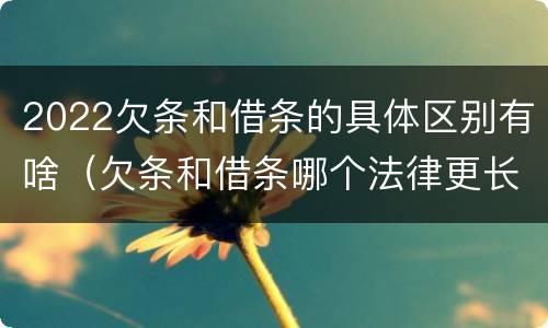 2022欠条和借条的具体区别有啥（欠条和借条哪个法律更长）