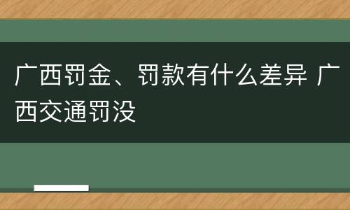 广西罚金、罚款有什么差异 广西交通罚没