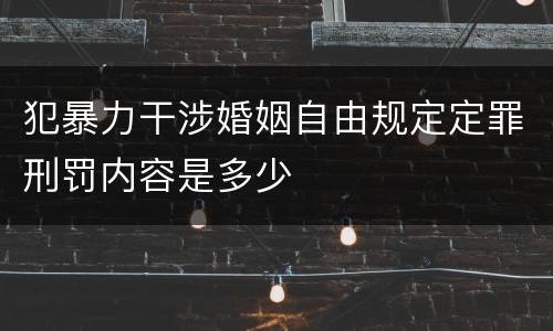 犯暴力干涉婚姻自由规定定罪刑罚内容是多少