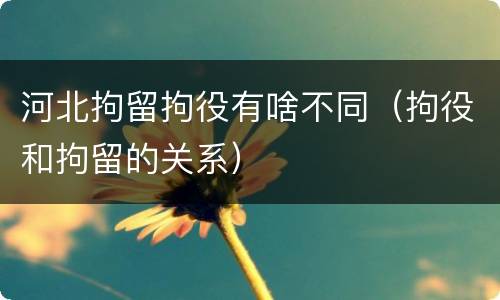 河北拘留拘役有啥不同（拘役和拘留的关系）