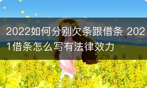 2022如何分别欠条跟借条 2021借条怎么写有法律效力