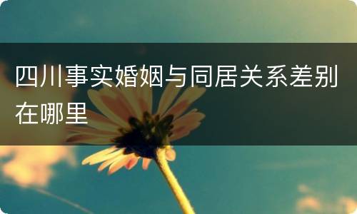 四川事实婚姻与同居关系差别在哪里