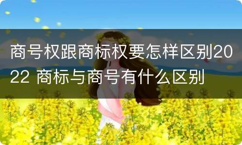 商号权跟商标权要怎样区别2022 商标与商号有什么区别