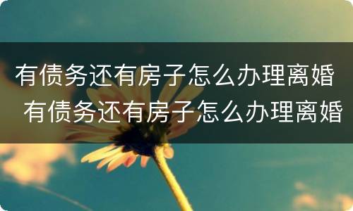 有债务还有房子怎么办理离婚 有债务还有房子怎么办理离婚手续
