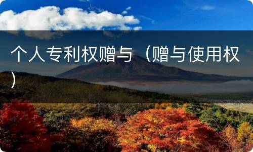 个人专利权赠与（赠与使用权）