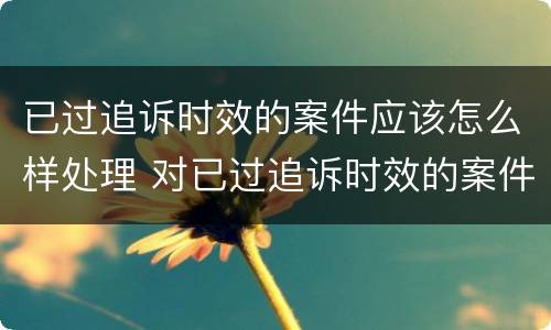 已过追诉时效的案件应该怎么样处理 对已过追诉时效的案件应如何处理