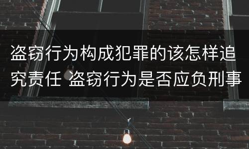 盗窃行为构成犯罪的该怎样追究责任 盗窃行为是否应负刑事法律责任