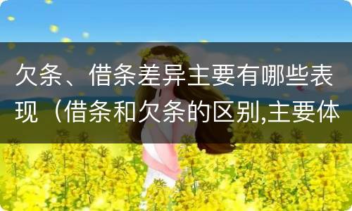 欠条、借条差异主要有哪些表现（借条和欠条的区别,主要体现在哪些方面?）