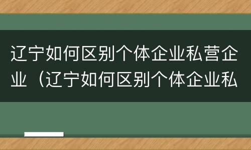 辽宁如何区别个体企业私营企业（辽宁如何区别个体企业私营企业和国企）