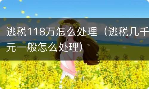 逃税118万怎么处理（逃税几千元一般怎么处理）