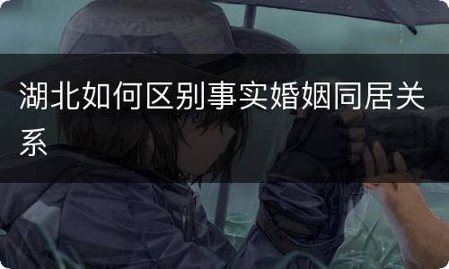 湖北如何区别事实婚姻同居关系