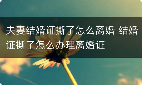 夫妻结婚证撕了怎么离婚 结婚证撕了怎么办理离婚证