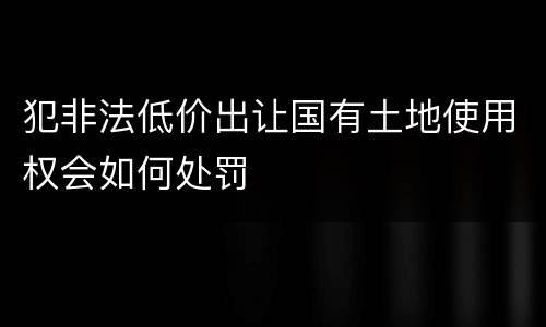 犯非法低价出让国有土地使用权会如何处罚