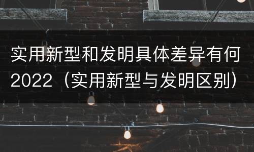 实用新型和发明具体差异有何2022（实用新型与发明区别）