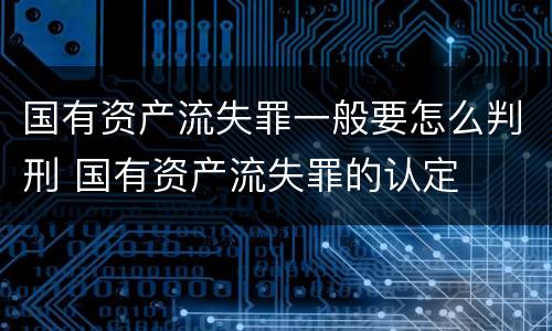 国有资产流失罪一般要怎么判刑 国有资产流失罪的认定