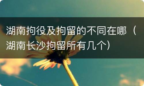 湖南拘役及拘留的不同在哪（湖南长沙拘留所有几个）