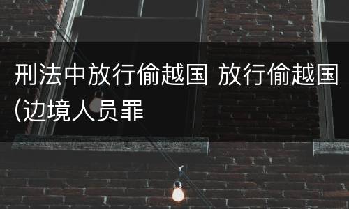 刑法中放行偷越国 放行偷越国(边境人员罪