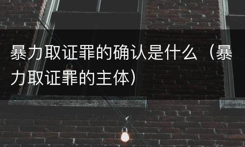 暴力取证罪的确认是什么（暴力取证罪的主体）