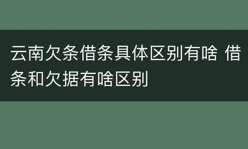 云南欠条借条具体区别有啥 借条和欠据有啥区别