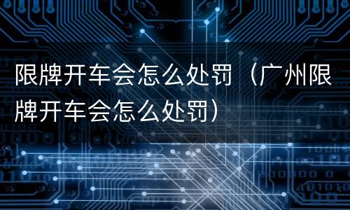 限牌开车会怎么处罚（广州限牌开车会怎么处罚）