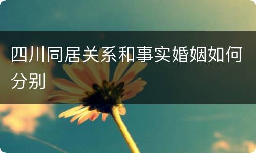 四川同居关系和事实婚姻如何分别