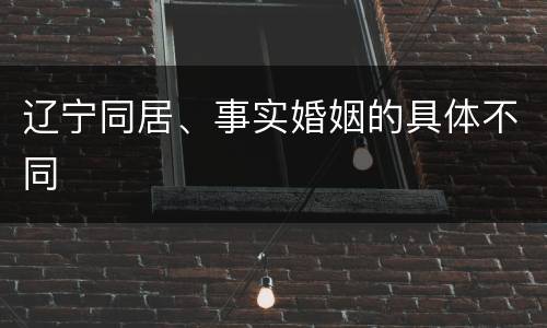 辽宁同居、事实婚姻的具体不同