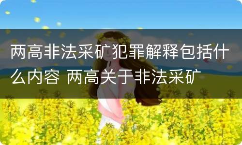 两高非法采矿犯罪解释包括什么内容 两高关于非法采矿