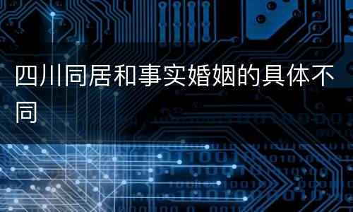 四川同居和事实婚姻的具体不同