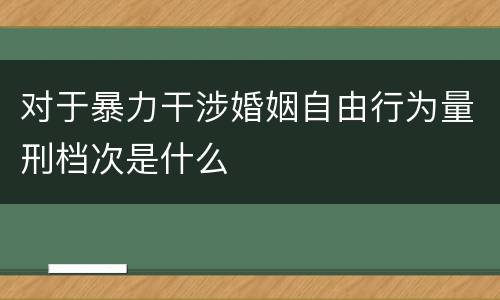 对于暴力干涉婚姻自由行为量刑档次是什么