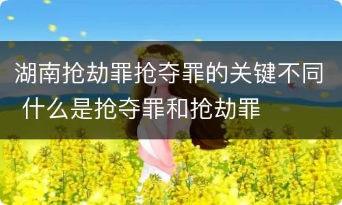 湖南抢劫罪抢夺罪的关键不同 什么是抢夺罪和抢劫罪