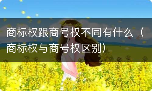 商标权跟商号权不同有什么(商标权与商号权区别)
