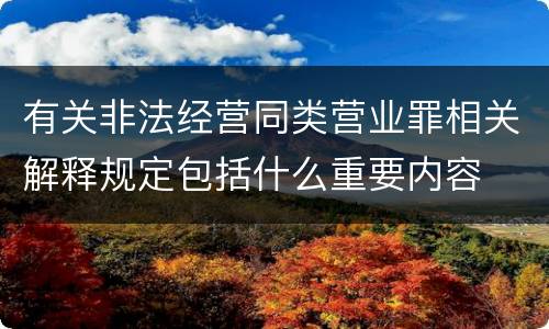 有关非法经营同类营业罪相关解释规定包括什么重要内容