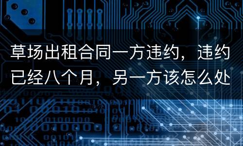 草场出租合同一方违约，违约已经八个月，另一方该怎么处理，有权要回草场吗