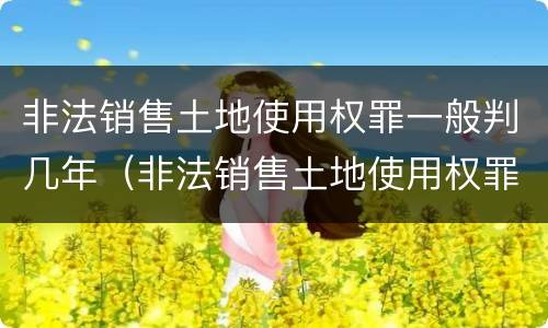 非法销售土地使用权罪一般判几年（非法销售土地使用权罪一般判几年刑期）