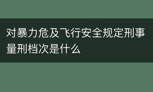 对暴力危及飞行安全规定刑事量刑档次是什么