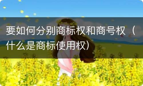 要如何分别商标权和商号权（什么是商标使用权）