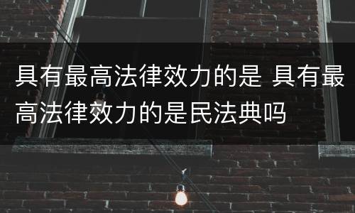 具有最高法律效力的是 具有最高法律效力的是民法典吗