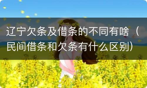 辽宁欠条及借条的不同有啥（民间借条和欠条有什么区别）