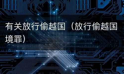 有关放行偷越国（放行偷越国境罪）
