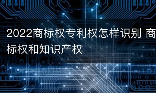 2022商标权专利权怎样识别 商标权和知识产权