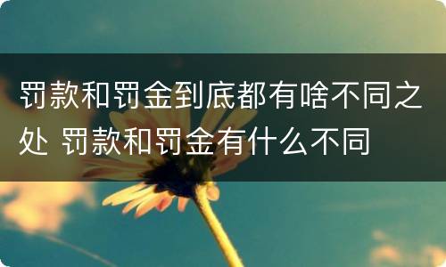 罚款和罚金到底都有啥不同之处 罚款和罚金有什么不同