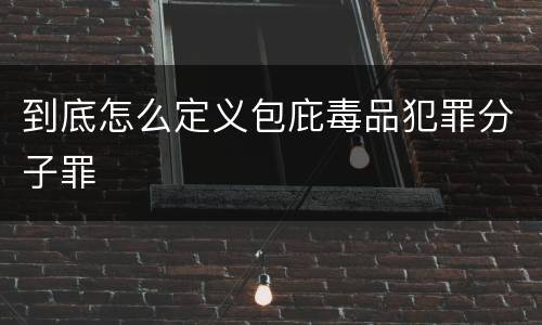 到底怎么定义包庇毒品犯罪分子罪