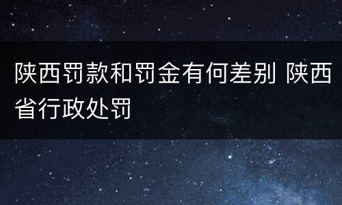 陕西罚款和罚金有何差别 陕西省行政处罚